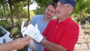 Diez ejemplares de aves y mamíferos recuperan la libertad en el parque de El Recorral de Rojales