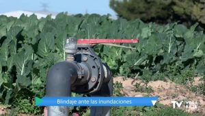 Pilar de la Horadada pide a sus agricultores que preparen los terrenos ante una posible gota fría
