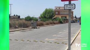 Se incorporan reductores de velocidad en la calle Oropéndola de Benejúzar