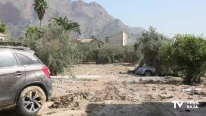 Una decena de municipios de la Vega Baja mejorarán sus caminos rurales con ayudas de Diputación