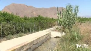 Atentos al agua de calidad en la Vega Baja ante el fin de Año Hidrológico con alerta 3 de sequía