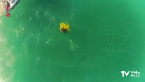 Un dron salva a una tortuga marina atrapada en una red de pesca en Guardamar del Segura