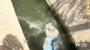 La CHS limpia los cauces nuevo y viejo del río Segura a su paso por Guardamar