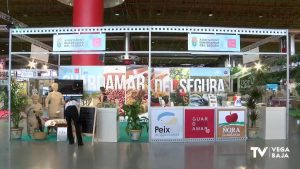 La cocina de la Vega Baja, premiada en Alicante Gastronómica