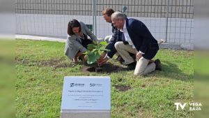 La UMH planta en el campus de Orihuela-Desamparados una higuera de Miguel Hernández