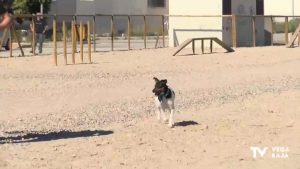 Dolores estrena un parque canino con cerca de 3.000 m2 de terreno