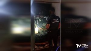 Encuentran más de 500 plantas de marihuana en Almoradí