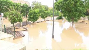 Aprobado el Plan de Gestión de Riesgos frente a Inundaciones de la cuenca del Segura con 840 millone