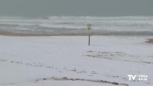 ¿Estamos a las puertas de un nuevo episodio de nieve en la Vega Baja?