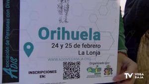 Llegan las “I Jornadas de Diversidad Funcional, profesionales y familia. Un proyecto de vida"