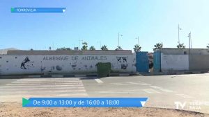 El albergue de animales de Torrevieja abre todos los días del año