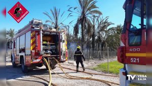 El incendio de un palmeral en San Isidro moviliza medios aéreos