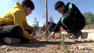 Los niños y niñas de Dolores plantan romero en el entorno del Museo de la Huerta