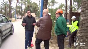 El Palmeral de Orihuela ahorrará energía con un nuevo sistema de iluminación