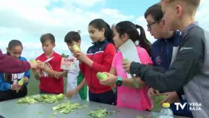 200 escolares participarán en las III Olimpiadas de la Alcachofa el próximo 1 de marzo