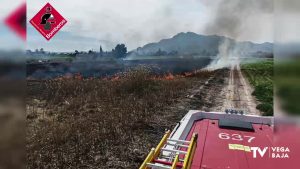 El fuego arrasa 8.000 metros cuadrados en el Camino Almajal de Callosa de Segura