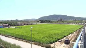 Orihuela aprueba el primer trámite para adquirir el suelo donde se levantará la ciudad deportiva