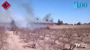 Bomberos de Crevillente y Orihuela intervienen en un incendio de cañar en Albatera