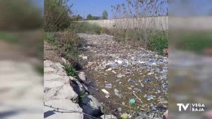 Rojales retira 12 toneladas de residuos plásticos y vegetales del río Segura