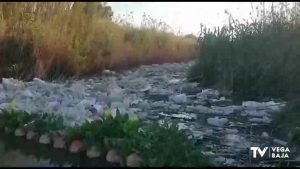 Los plásticos se acumulan en el río Segura a su paso por Benejúzar