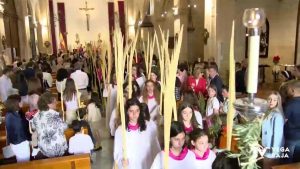 Las palmas inundan Torrevieja, Orihuela y Callosa de Segura en el Domingo de Ramos