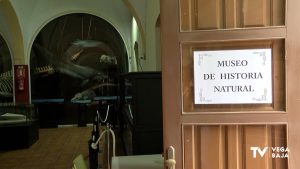 Se amplían las visitas en el Museo de Historia Natural de Torrevieja debido a la alta demanda