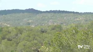 Sierra Escalona y la Dehesa de Campoamor, más cerca de ser Parque Natural