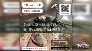 Los objetos naturales encontrados en la Vega Baja se exponen en el Aula de la Naturaleza de Catral