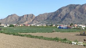 Callosa de Segura estrena el sendero local Laderas de la Sierra   