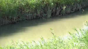 El Canal de Abanilla y la presa de Santomera evitan que la crecida del río Chicamo llegue a la Vega Baja