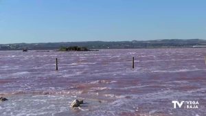 El IVACE lanza ayudas para modernizar las embarcaciones de las Salinas de Torrevieja