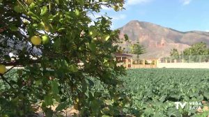 Callosa de Segura prepara la construcción de una balsa para riego