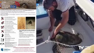 Atención: Estamos en plena temporada de nidificación de tortugas marinas