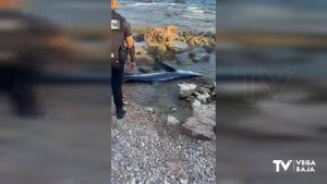 Aparece en Cabo Roig el cadáver de la tintorera que asustó a varios bañistas en Agumarina