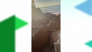 Comienzan los trabajos de aporte de arena en la playa Babilonia de Guardamar del Segura