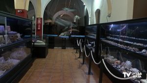 Más de 1200 personas, de 25 países, visitan el Museo de Historia Natural de Torrevieja