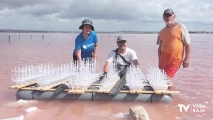 Primer baño en sal para maquetas de barcos en la laguna rosa de Torrevieja