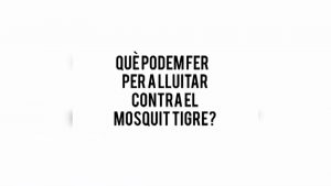 Método TIE: contra el mosquito tigre a través de esterilización que reduce su población en un 80%