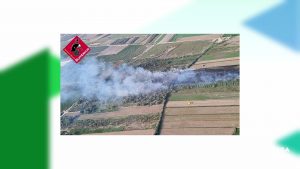 Arden dos hectáreas de vegetación en la carretera San Isidro-Catral