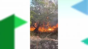 Fuego en el Parque Natural de las Lagunas de la Mata y Torrevieja