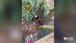 Rescatan a un cachorro tras caer a una acequia en San Fulgencio