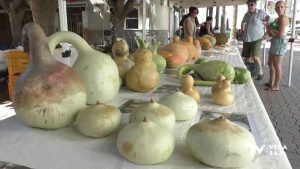 Dolores ofrece una degustación de calabazas cultivadas en campo de Carrizales