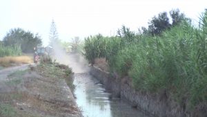 Almoradí actúa con medidas preventivas ante inundaciones