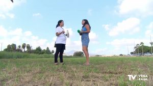 La asociación Vega Baja Limpia pretende acabar con un gran vertedero ilegal, entre Catral y Dolores