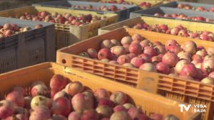 Una presunta deuda entre dos comerciantes de fruta en Orihuela acaba con dos detenidos por robo con violencia e intimidación