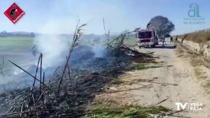 Cañas, pinos, una torre eléctrica y una vivienda: estas son las últimas intervenciones de los bomberos en la Vega Baja