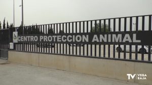 La Concejalía de Sanidad de Orihuela abona las deudas que el Ayuntamiento tenía con ASOKA