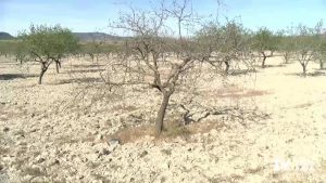 Noviembre se despide de la Vega Baja sin una gota de lluvia