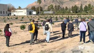 La UMH apuesta por nuevas soluciones al problema del agua a través de la agricultura de precisión aplicada