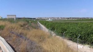 Se aprueba la dirección de obra para ejecutar la senda peatonal y carril bici entre el hospital y el cementerio de Torrevieja